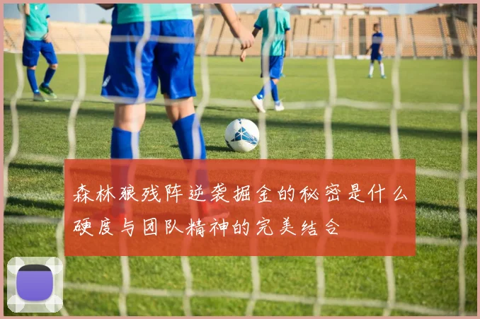 森林狼残阵逆袭掘金的秘密是什么硬度与团队精神的完美结合