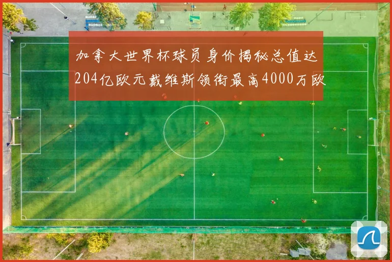 加拿大世界杯球员身价揭秘总值达204亿欧元戴维斯领衔最高4000万欧